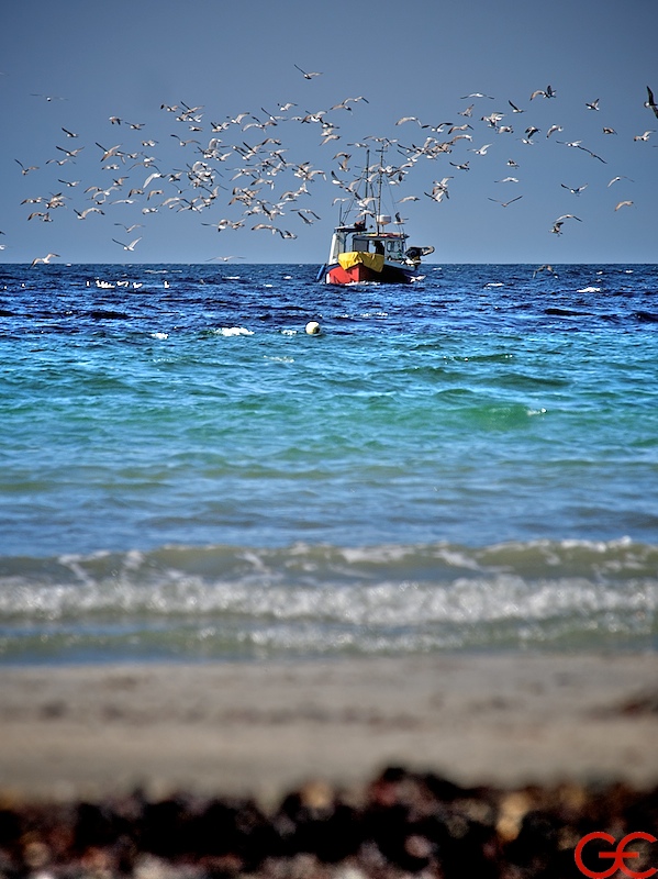 Welcome to the table - 2