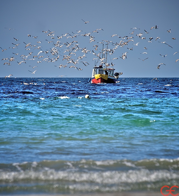 Welcome to the table - 3