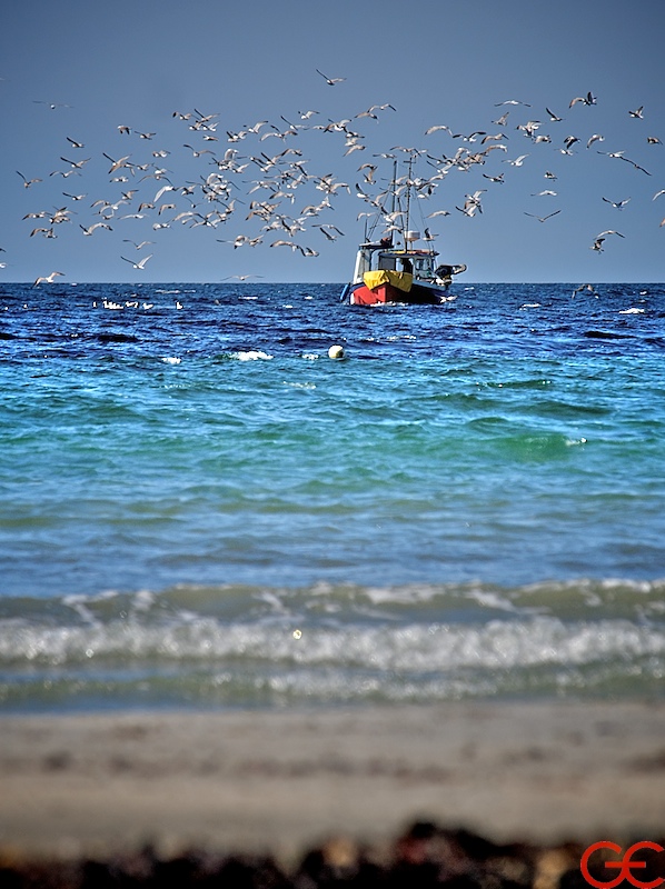 Welcome to the table