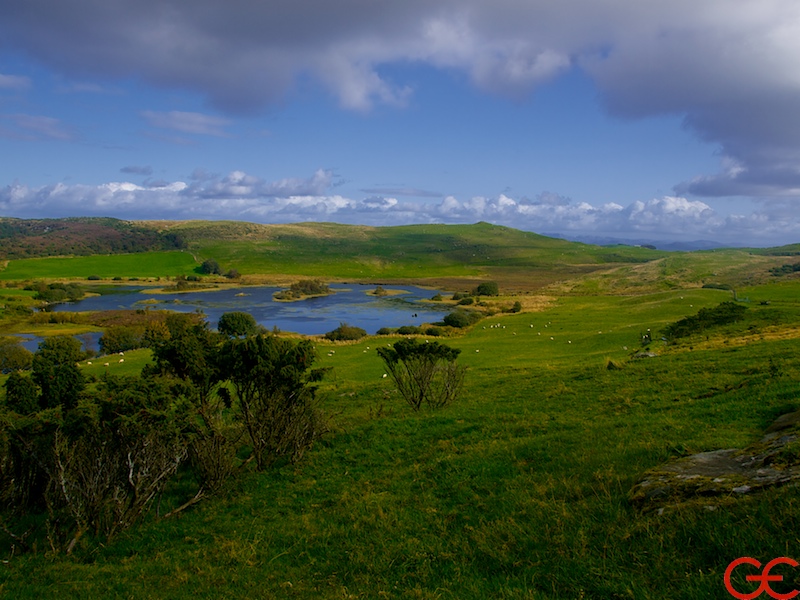Landscape in green and blue