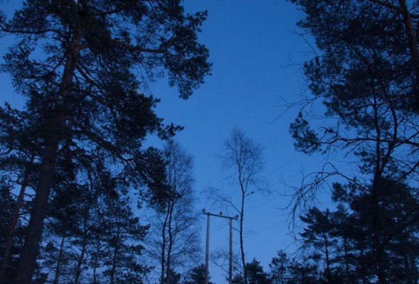 The Mood of Winter
