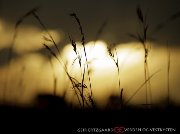 Dreamtime